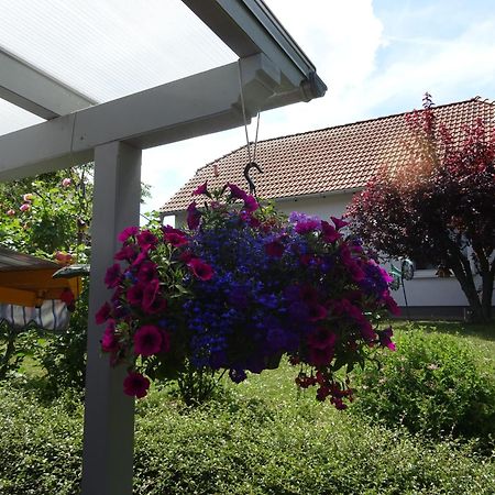 Ferienwohnung Relax Ilsenburg Kültér fotó
