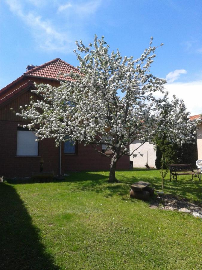 Ferienwohnung Relax Ilsenburg Kültér fotó