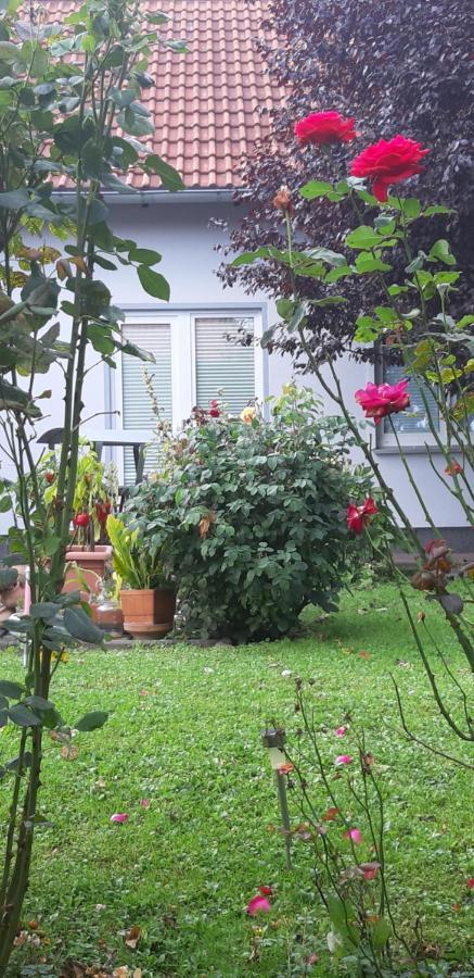Ferienwohnung Relax Ilsenburg Kültér fotó